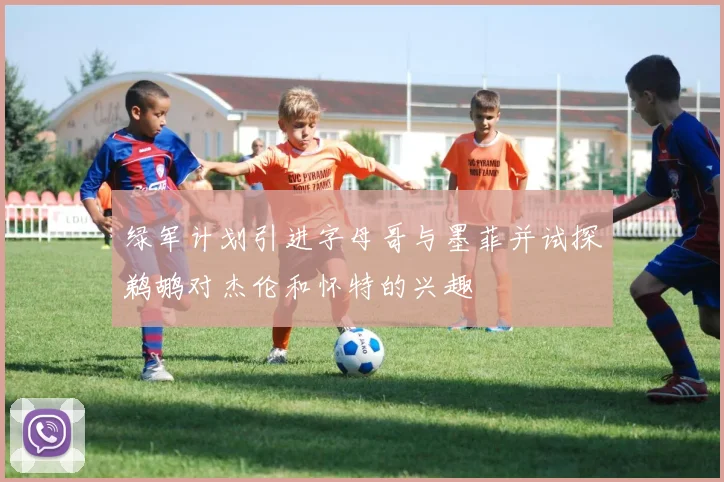 绿军计划引进字母哥与墨菲并试探鹈鹕对杰伦和怀特的兴趣